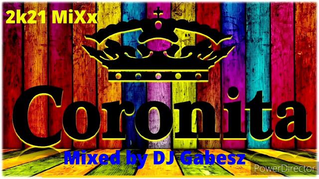 🔥Szaggatós Coronita MiXx 2k21 🔥 ‼️Mixed By DJ Gabesz‼️