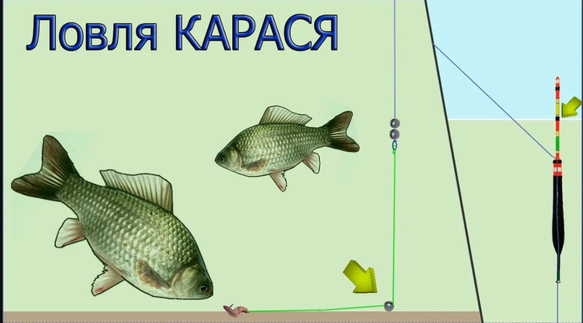 Москва, Некрасовка, озеро Бедринское (Чёрное). Ловля КАРАСЯ на Поплавок, ЛОВЛЯ НА РАБОТЕ ПОДПАСКА смотреть онлайн