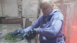лучшие витамины для цыплят, даем крапиву. бройлера еще не доросли до забоя.