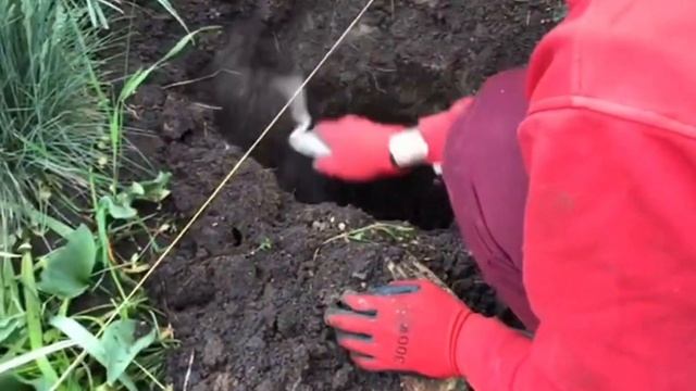 Что делать со стенами? И новый навес.