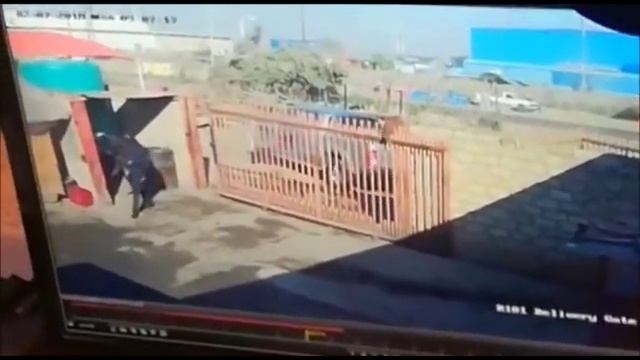Cash-in-Transit Robbery in Ramotse Hammanskraal смотреть онлайн