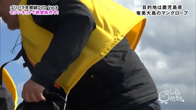 【～編後～旅るす写激をブーログンマの島大美奄・県島児鹿】録聞見ラパリゴ смотреть онлайн