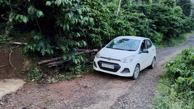 Wayanad Resort with Infinity Pool | Camping in Wayanad | Tree House | смотреть онлайн