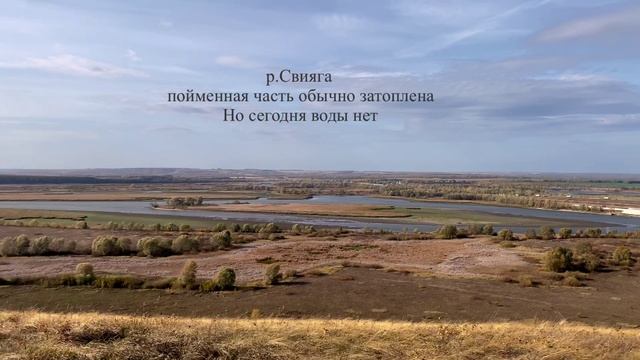 Путешествуем с собакой смотреть онлайн