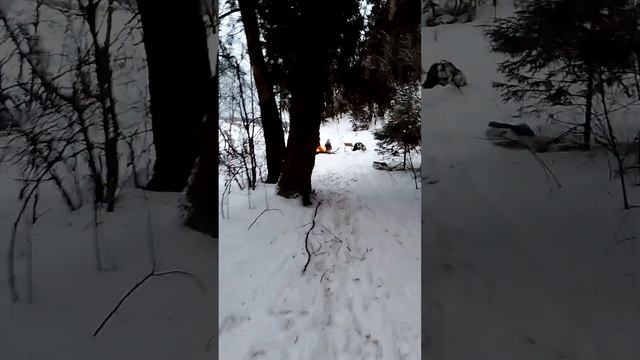 Осташево зимний пикник 2023 Волоколамский район смотреть онлайн