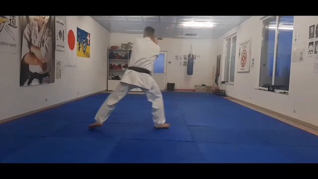 Kata Kyokushin Karate #4 Pinan Sono Ichi #karate #kyokushin #kata
