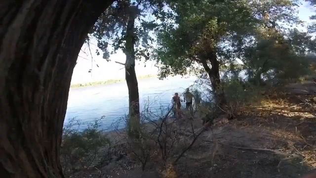 Рыбалка на Сырдарье, 3-5 июля 2020. Рыбалка в одиночку с ночёвкой. Чудо удочки дяди Володи. смотреть онлайн