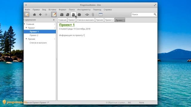 Zim - менеджер заметок. Программы для Linux смотреть онлайн