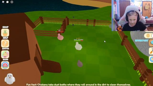 Playing "Chicken Life" on Roblox With Dad смотреть онлайн