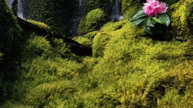 Tumia Simu Yako Kama Mouse Au Keyboard