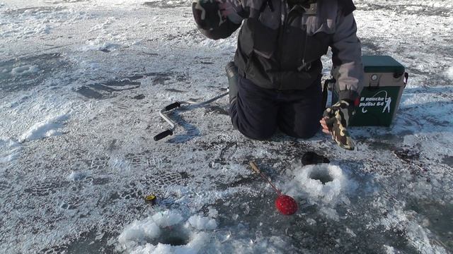 РЫБАЛКА НА ХОПРЕ. ЛОВЛЯ БЕЛОЙ РЫБКИ смотреть онлайн