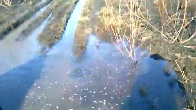 2015 ))) квадрик в болоте смотреть онлайн