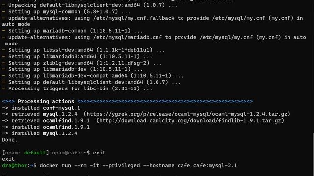 David Allsopp, "OPAM: The OCaml Package Manager" смотреть онлайн