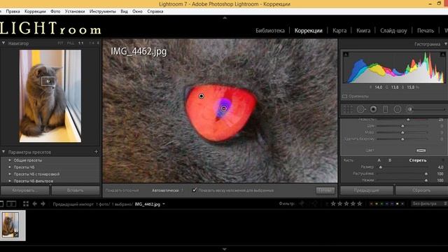 LightRoom - обработка фотографии - Глаз кота смотреть онлайн