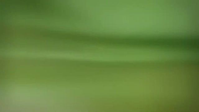 3-х комнатная квартира на Полевой 16, Академгородок, Новосибирск смотреть онлайн
