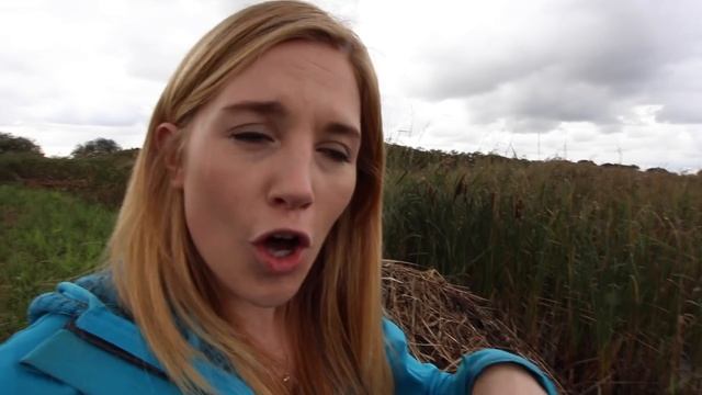Searching for the Common Crane! | Maddie Moate смотреть онлайн