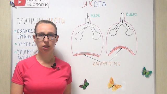 Что такое икота? Зачем мы икаем?