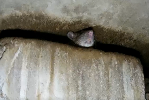 Газосварка ЖКХ И снова отопление Gas welding housing and communal services смотреть онлайн