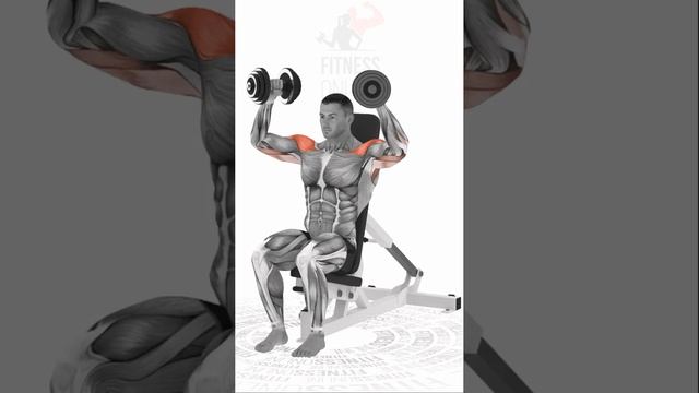 Жим Арнольда/Arnold press