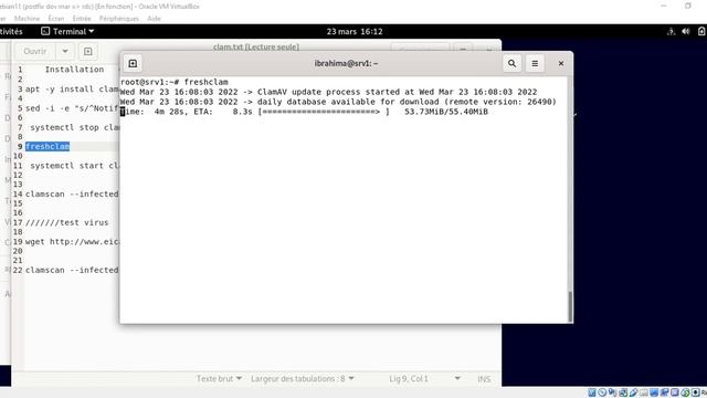 Installation Clamav antivirus Debian 11 смотреть онлайн
