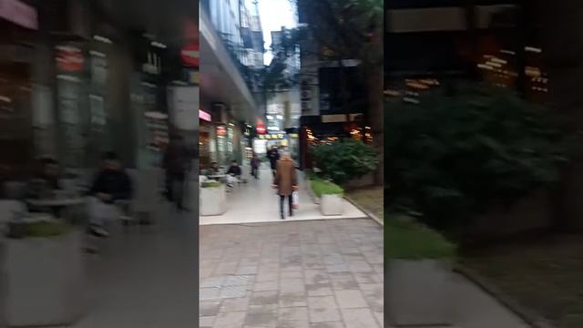 платановая аллея Сочи, новогодние каникулы заканчиваются 10.01.24#рыбаковиздивногорска смотреть онлайн