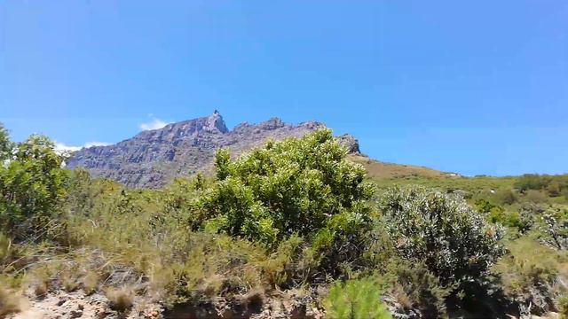 Kifaru Travel Peter V Tait(4) смотреть онлайн