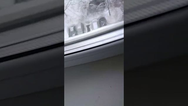 Как выучить стихотворение за ночь или за 5 минут. смотреть онлайн