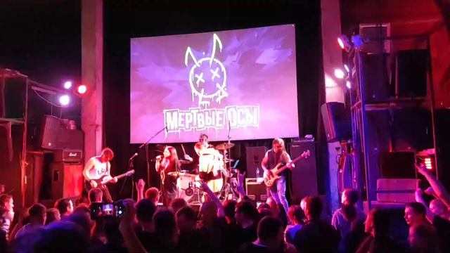 Мёртвые осы - Водоворот. СПб 11.03.2023 смотреть онлайн