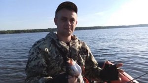 Жерех на троллинг | Рыбалка на Волге