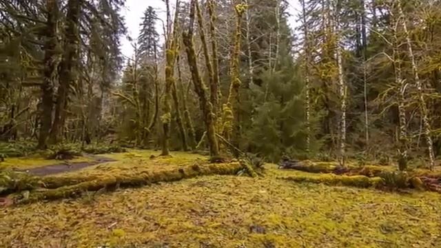 Коран Успокаивающий ?Душу? чтец Омар Хишам 1 смотреть онлайн