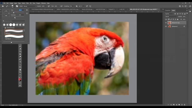 Color Picker Photoshop - Picking Colors From Reference Photos For Artists