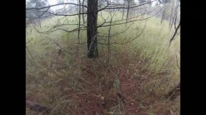 Мужская рыбалка на щуку на реках Чаус и Уень...(Рыбалка 27 июля 2013 г, крупная щука)