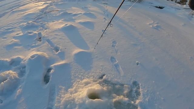 ПЕРВАЯ рыбалка 2024! На виб, блесну.. балансир? БЬЁТ ХИЩНАЯ РЫБА в Подводном лесу! смотреть онлайн