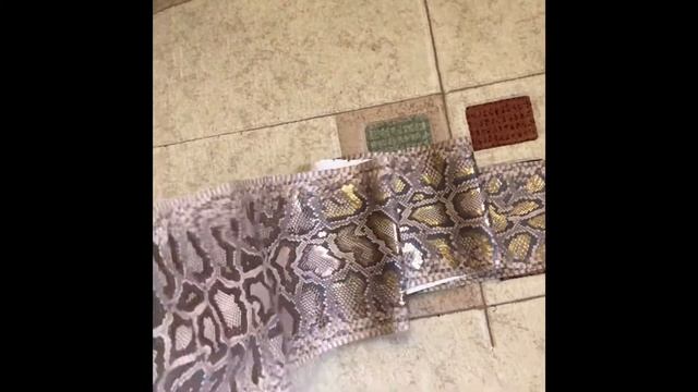 Python.production Натуральная кожа Питона смотреть онлайн