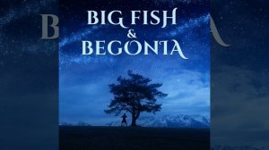 Big Fish & Begonia
