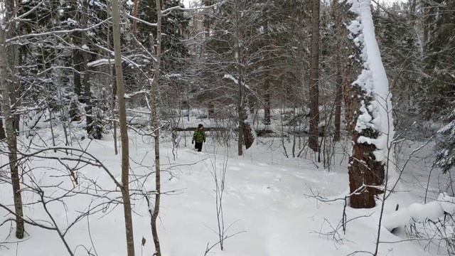 Какой бывает зима смотреть онлайн