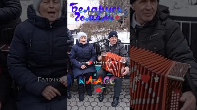 БЕЛАРУСЬ - ГОМЕЛЬ, Песни Под Гармонь... Воскресные встречи в Гомельском парке смотреть онлайн