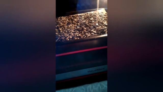 Запеченное в духовке — рецепты и советы