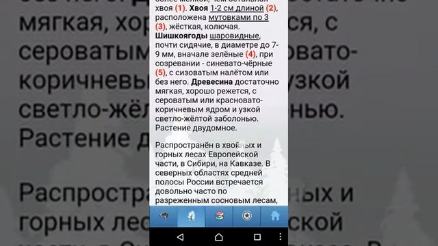 ЭкоГид: Определитель деревьев и кустарников в зимний период смотреть онлайн