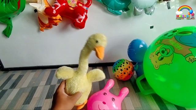 Balon Karakter Hewan Lucu Potong Bebek Angsa, Bola Pelangi, Bola Besar Jumping смотреть онлайн