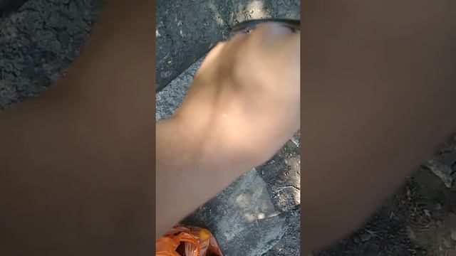 Ужонок. смотреть онлайн