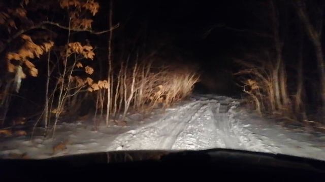 мазда мпв покатушки по снежному лесу смотреть онлайн