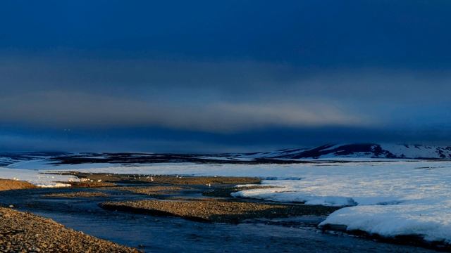 В США призвали отобрать у России остров Врангеля смотреть онлайн