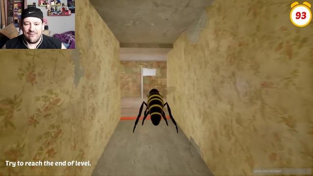 SLAP THE FLY: DEATH RUN! смотреть онлайн