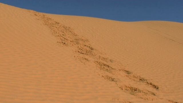 Волшебно Нежная Музыка Востока!!! Приятно Слушать в любое время дня и ночи!!! смотреть онлайн
