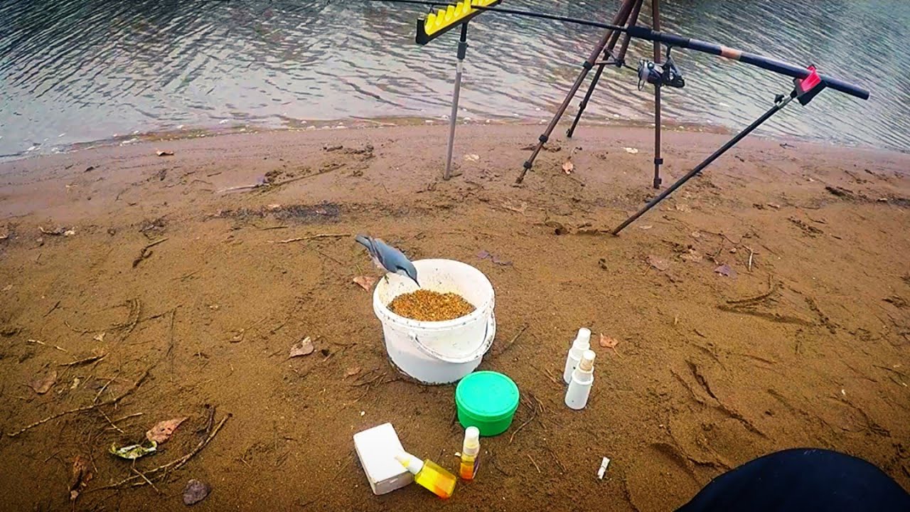 ОБЗОР ЛАЙТОВОГО ФИДЕРА KAIDA INSPIRON 3.0 0-35g + РЫБАЛОЧКА НА ФИДЕР 21 НОЯБРЯ )).mp4