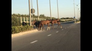 Ашхабад  История (Туркмения)