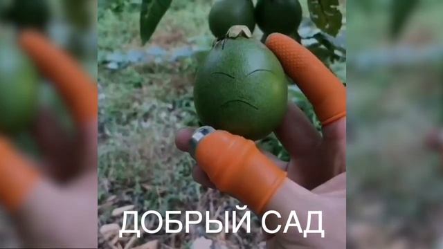 Силиконовый садовый нож на палец смотреть онлайн