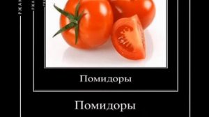 Помидоры-помидоры-помидоры-помидоры 5 минут
