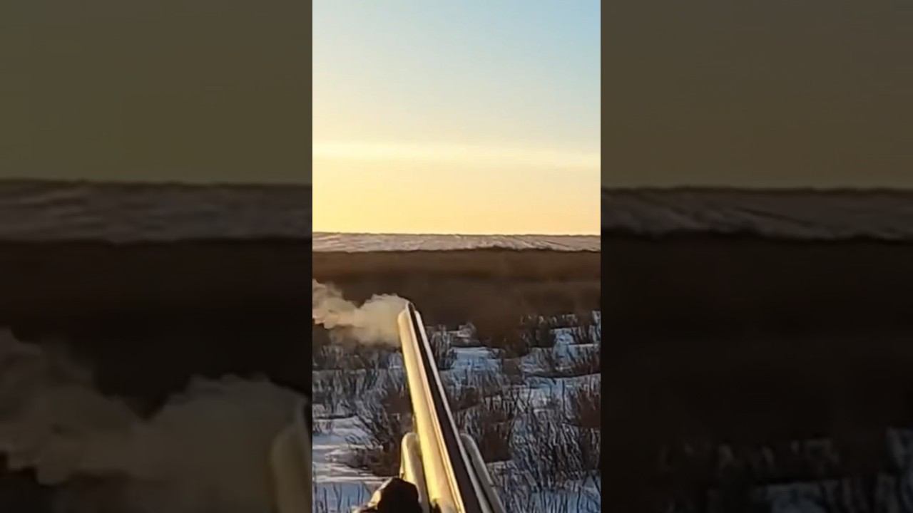 Выстрелы по . Мелькающий заяц в кустах #охота #охотаназайца смотреть онлайн